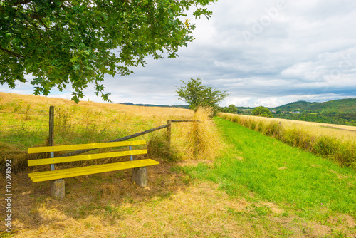 Hills of the Eifel National Park in summer