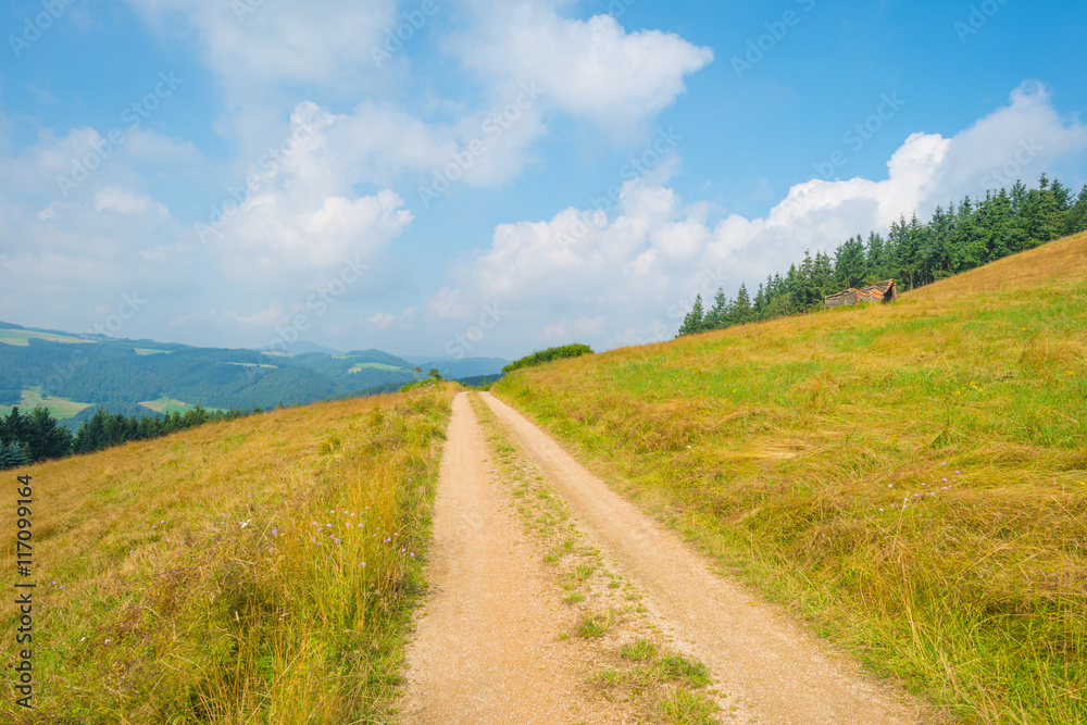 Fototapeta premium Hills of the Eifel National Park in summer