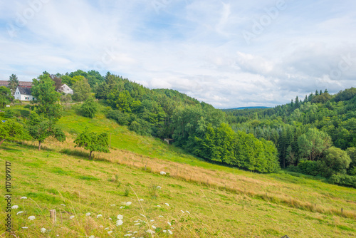 Hills of the Eifel National Park in summer © Naj