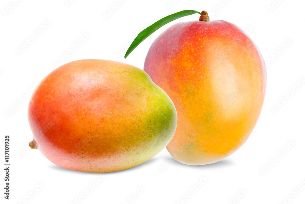 Mango isolated on white