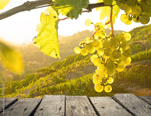 Weintrauben über einem Holztisch im Weinberg bei Sonnenuntergang 
