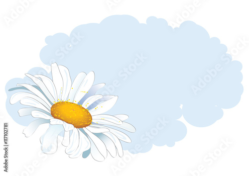daisy and cloud