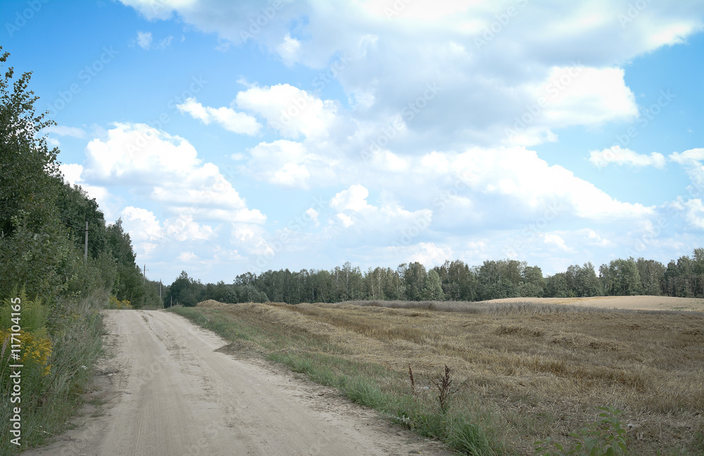rural road and field of wheat