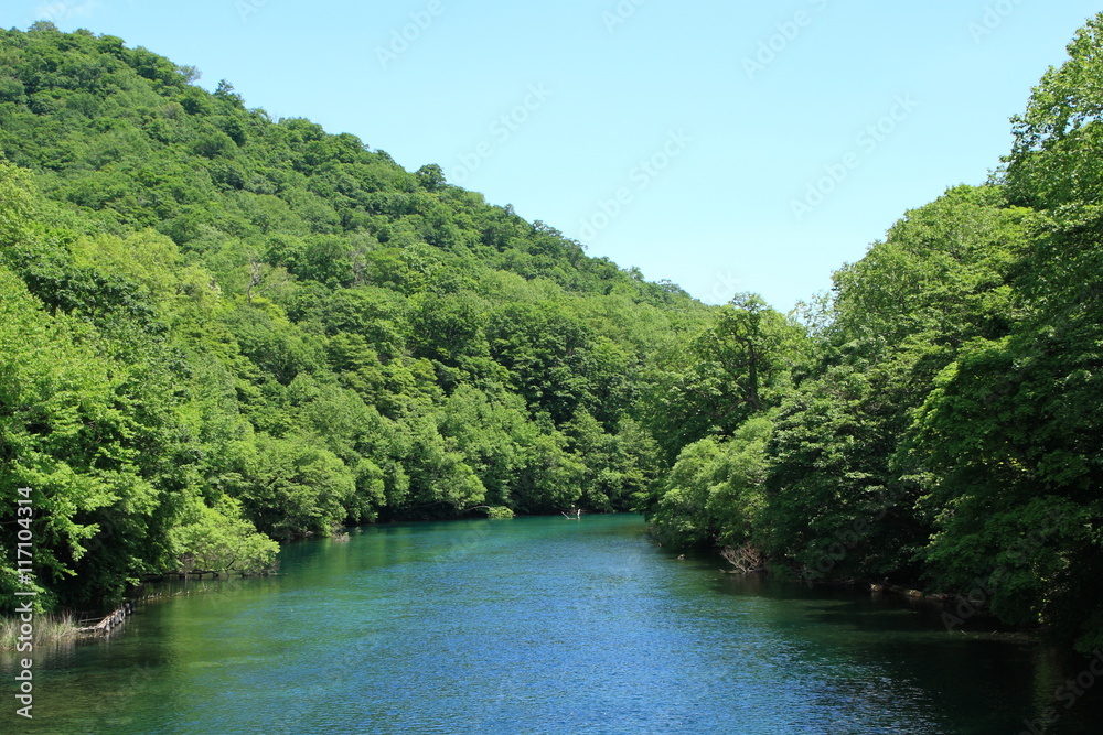 River of the fresh green and a clean flow