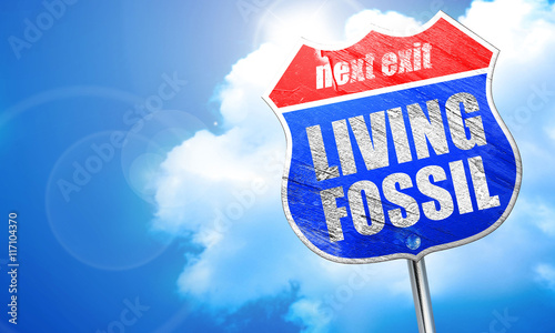 living fossil, 3D rendering, blue street sign photo