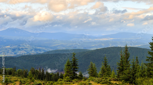 Summer Carpathian mountains landscape. pine forest, Ukraine, Europe. © O.Farion