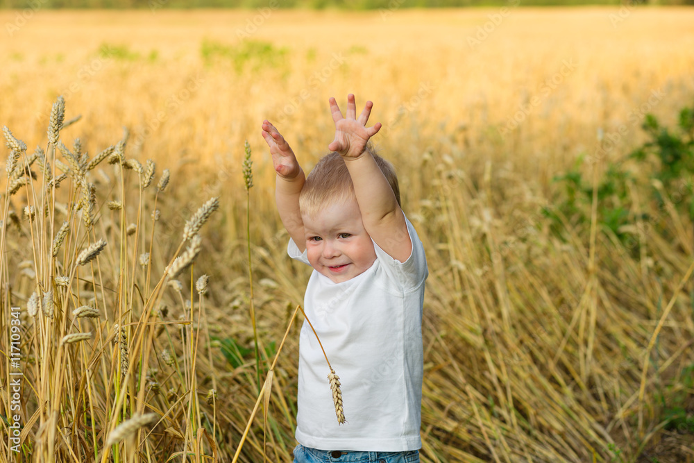 boy in the rye field boy in the rye field