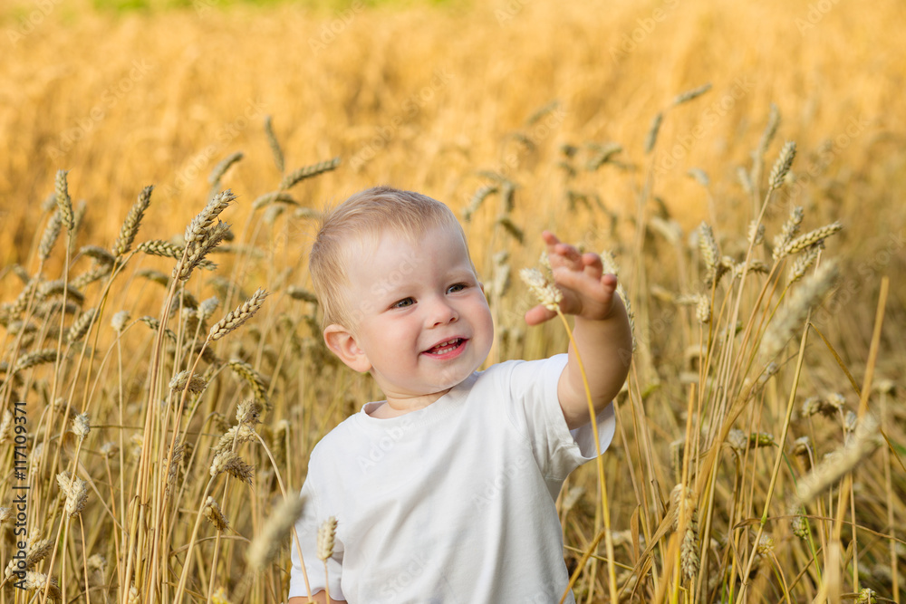 boy in the rye field boy in the rye field
