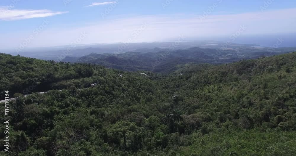 Bird's-eye view over a tropical jungle in hot summer day. Clear blue sky and tops of hills on the background. Bird's-eye view over a tropical jungle in hot summer day. Clear blue sky and tops of hills on the background.