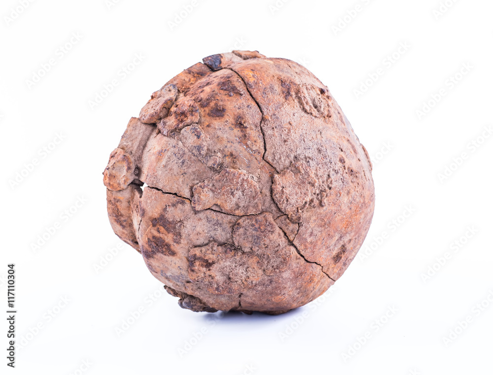 Prehistoric iron pot on a white background Prehistoric iron pot on a white background