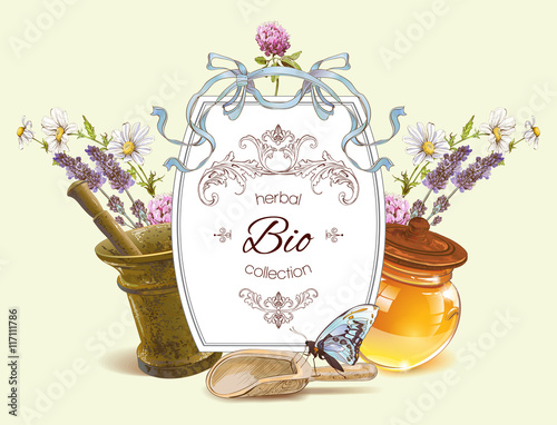 Vector herbal banner