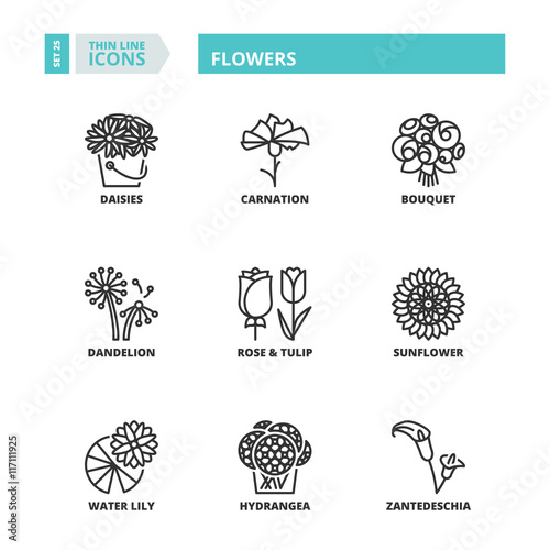 Thin line icons. Flowers
