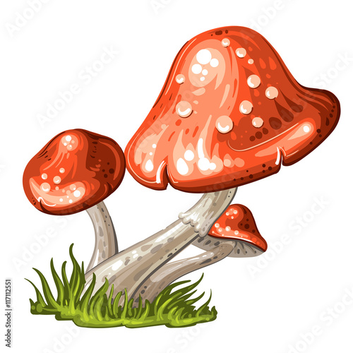 Cartoon mushroom on white background