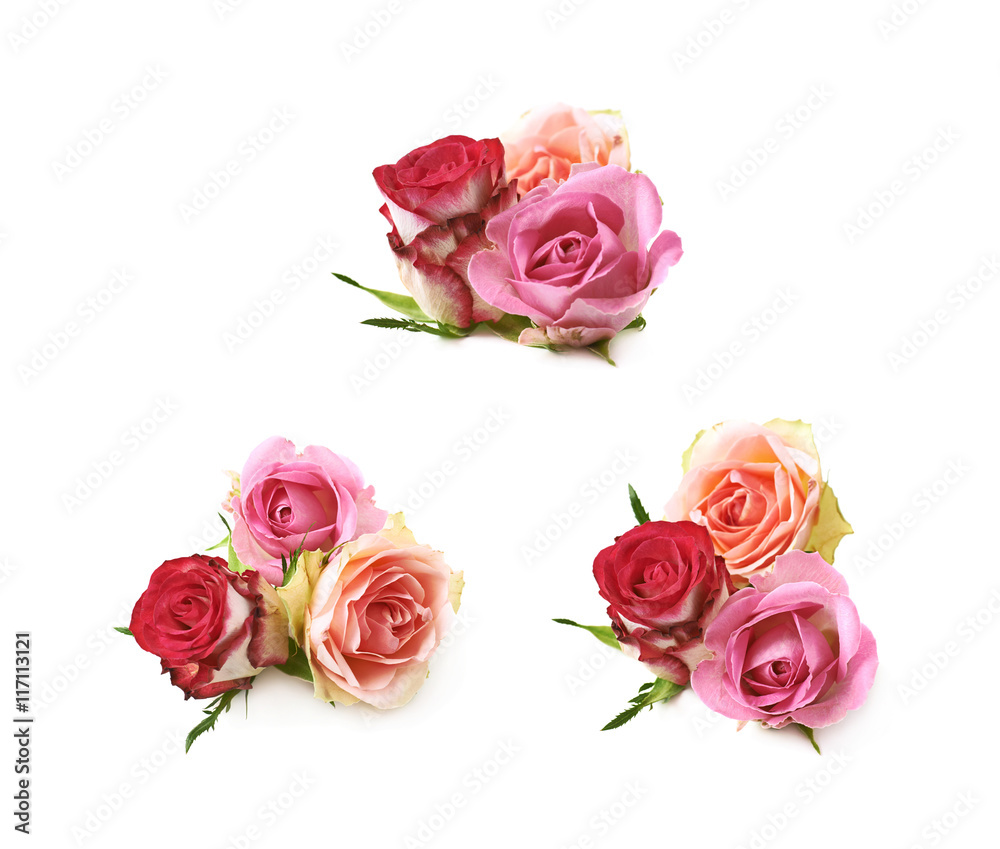 Rose buds composition isolated Rose buds composition isolated