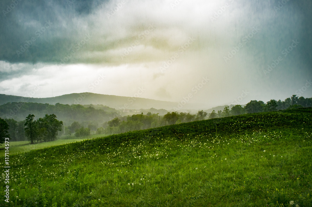 Moody Stormy Landscape