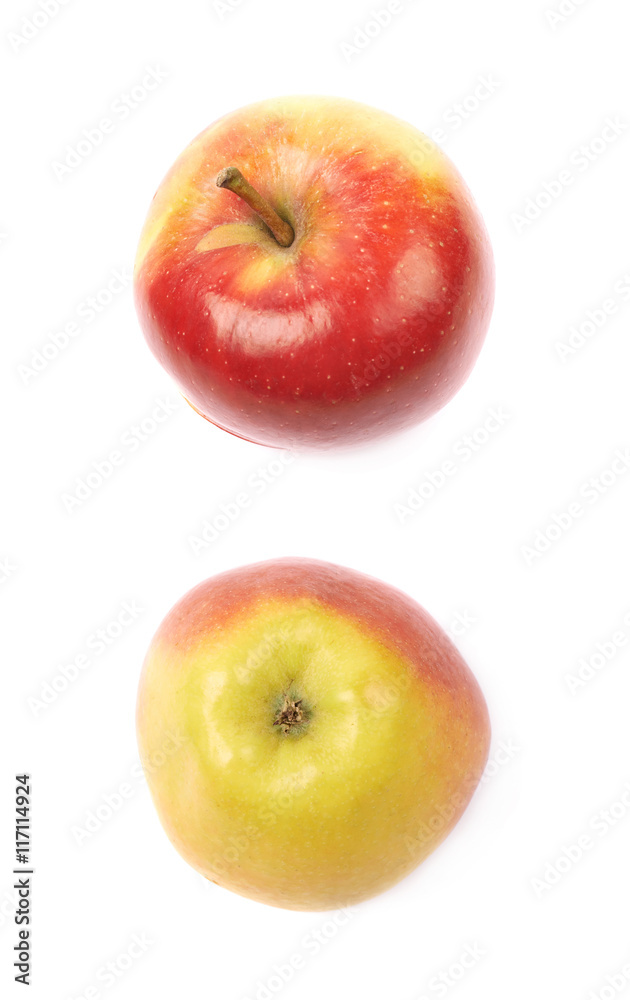 Ripe red and golden jonagold apple Ripe red and golden jonagold apple