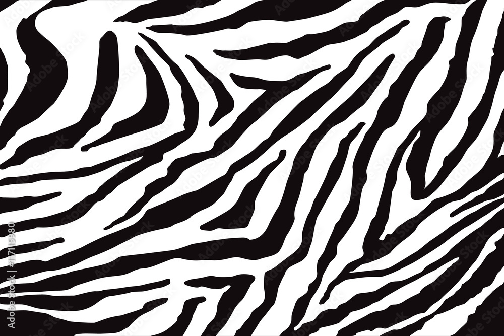 Zebra Pattern Vector - obrazy, fototapety, plakaty 