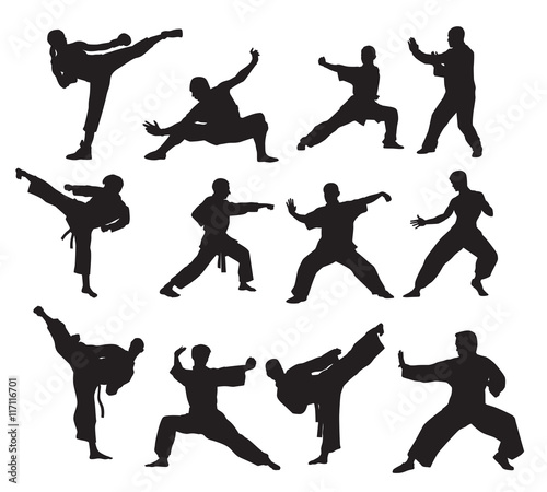Martial Arts Silhouettes
