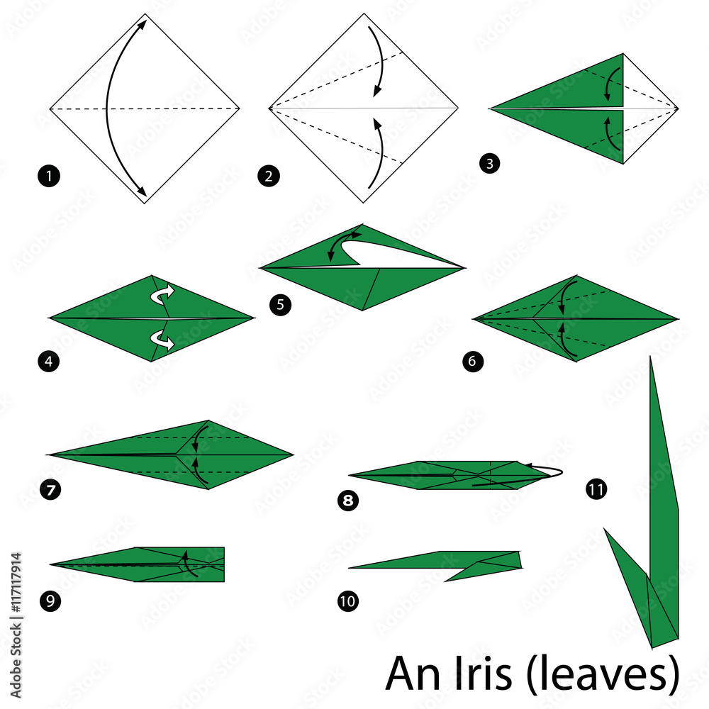 Step By Step Instructions How To Make Origami An Iris Stock Vector