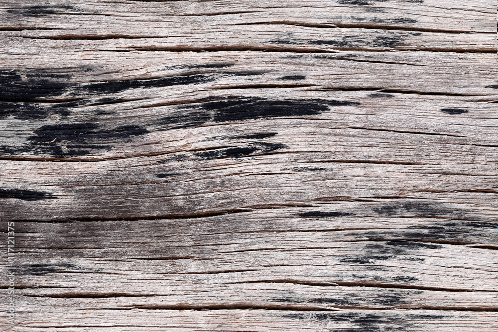 Old wood texture. Old wood texture.