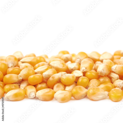 Line pile of corn kernels isolated