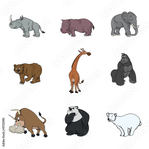big animal illustration design collection