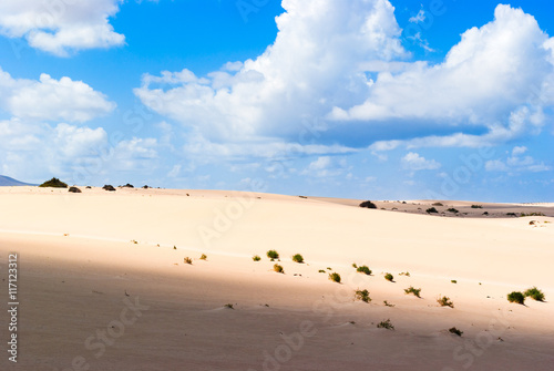 Nature reserve Dunes of Corralejo. Fuerteventura. Canary Islands. Spain