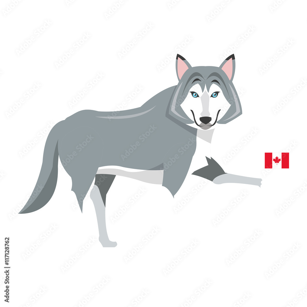 flat design big wolf with canadian flag icon vector illustration