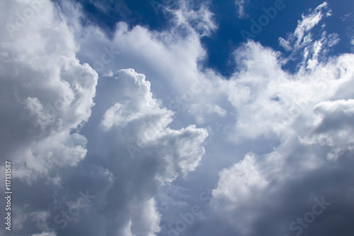 Fototapeta Naklejka Na Ścianę i Meble -  White clouds raged and blue sky