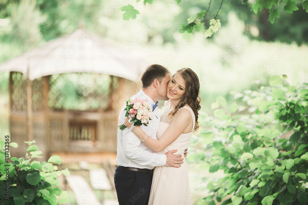 Lovely couple in love kissing each other on the day wedding, standing in the park outdoors near lake Lovely couple in love kissing each other on the day wedding, standing in the park outdoors near lake