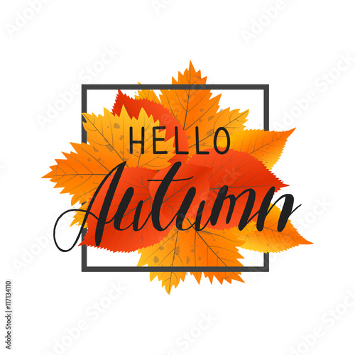 Autumn new season hello. Lettering with hand drawn letters. Label and banner template with yellow red leaves