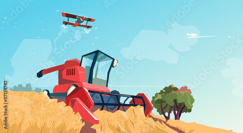 Combine Harvesting Wheat Crop In Field