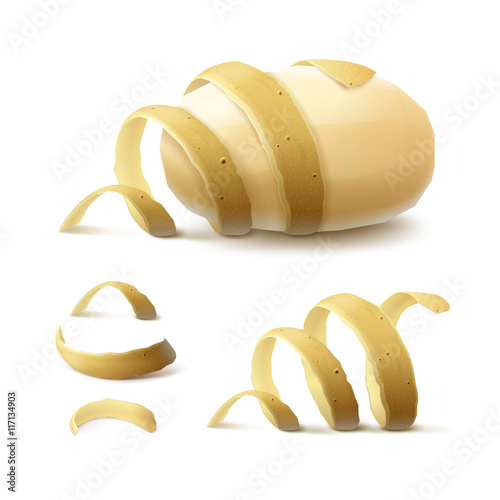 Vector Set of New Yellow Raw Whole Peeled Potato with twisted peel Close up Isolated on White Background