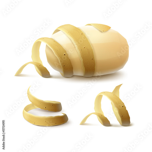 Vector Set of New Yellow Raw Whole Peeled Potato with twisted peel Close up Isolated on White Background