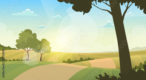 Summer View Landscape Rural Road Green Grass Blue Sky Sunset