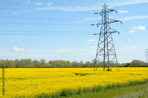 Electricty pylons crossing rapeseed field on farm in English countryside