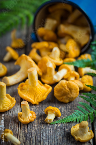 chanterelle mushrooms on wooden background