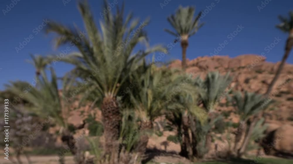 amazing rock formations with plam trees amazing rock formations with plam trees