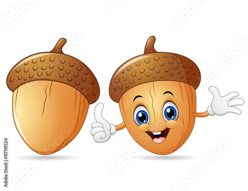 Happy acorn cartoon giving thumb up