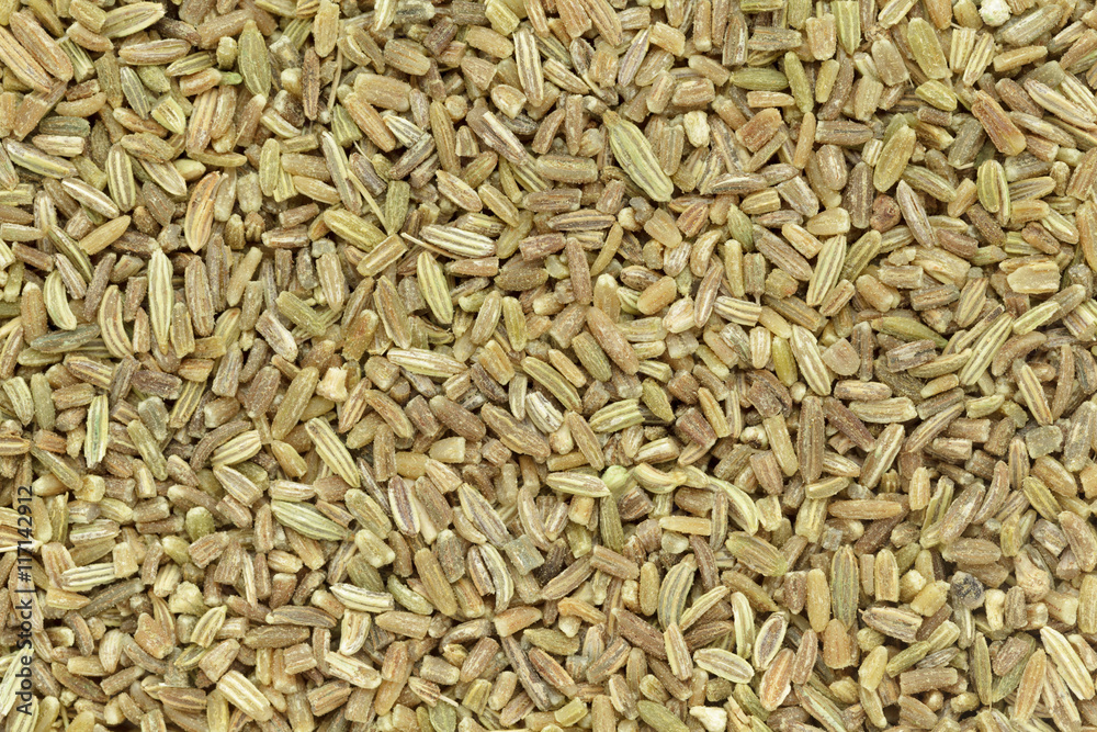 Organic fennel (Foeniculum vulgare) in big cut size. Macro close up background texture. Top view. Organic fennel (Foeniculum vulgare) in big cut size. Macro close up background texture. Top view.