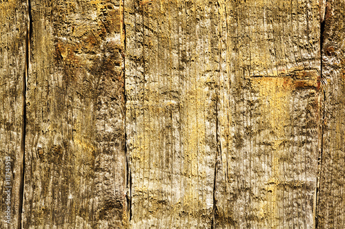 old vintage wooden door , background