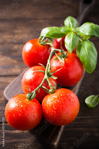 Branch of ripe natural tomatoes and basil leaves