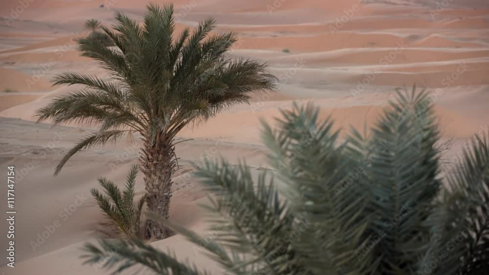 big dunes in the sahara desert morocco big dunes in the sahara desert morocco