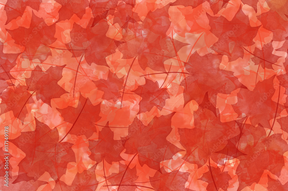 fall background fall background