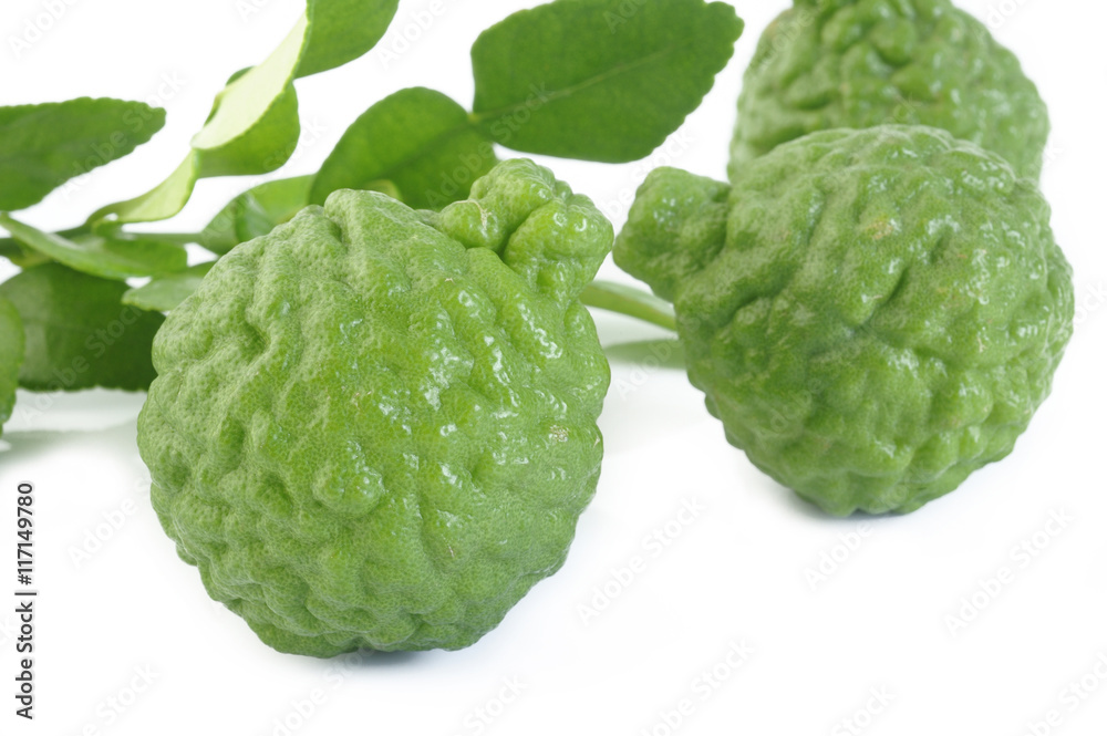 Obraz premium bergamot with leaf on white background
