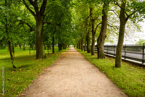 beautiful alley in Park in cloudy summer day