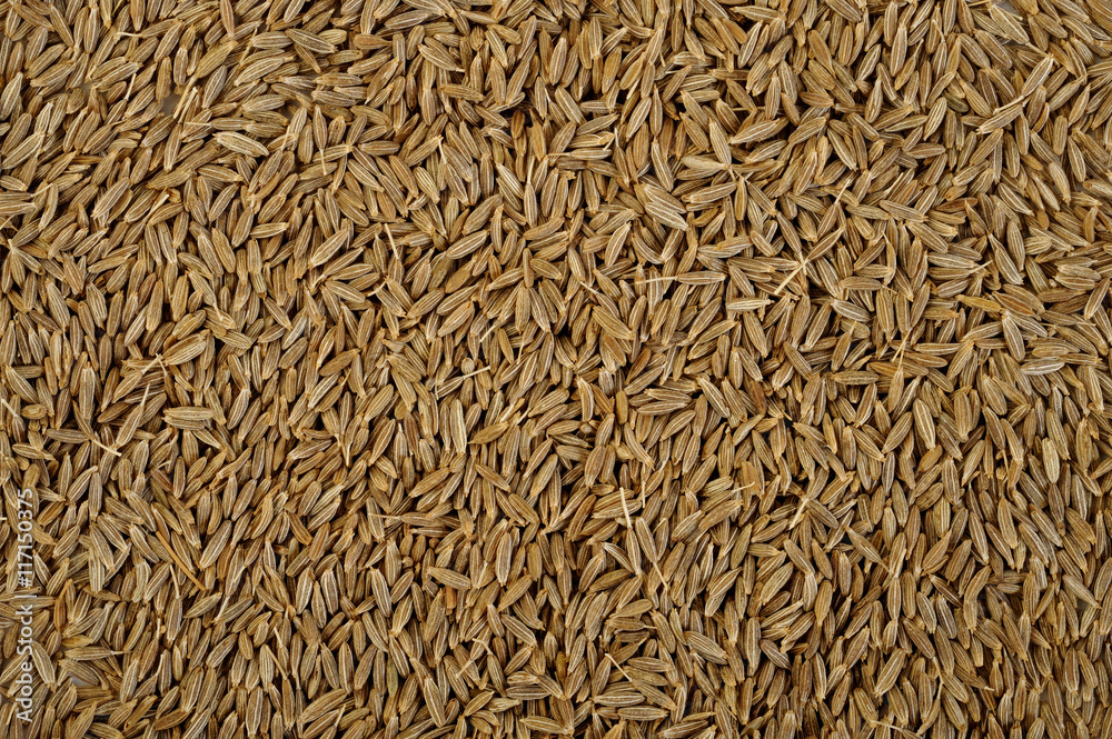 cumin seeds background cumin seeds background