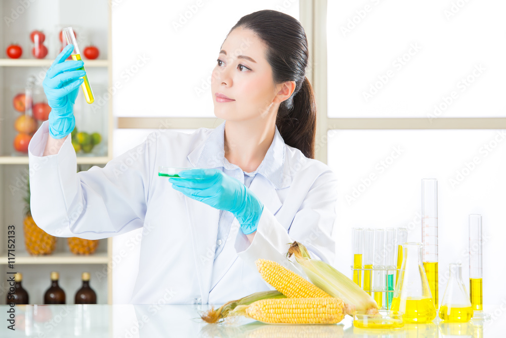 Asian female scientist testing gmo corn for human health Asian female scientist testing gmo corn for human health