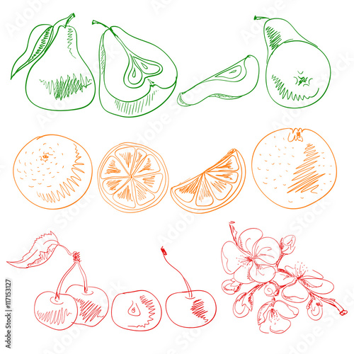 Set of fruits painted with colored lines , outline , pear, orang