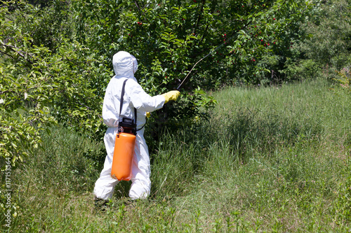 Pesticide spraying. Non-organic fruits.